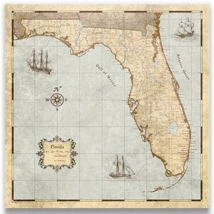 🏝️ FL VACATION PEOPLE Must Have Push Pin Florida Map-Pin Board
BRAND NEW IN BOX